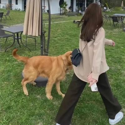 血的契约